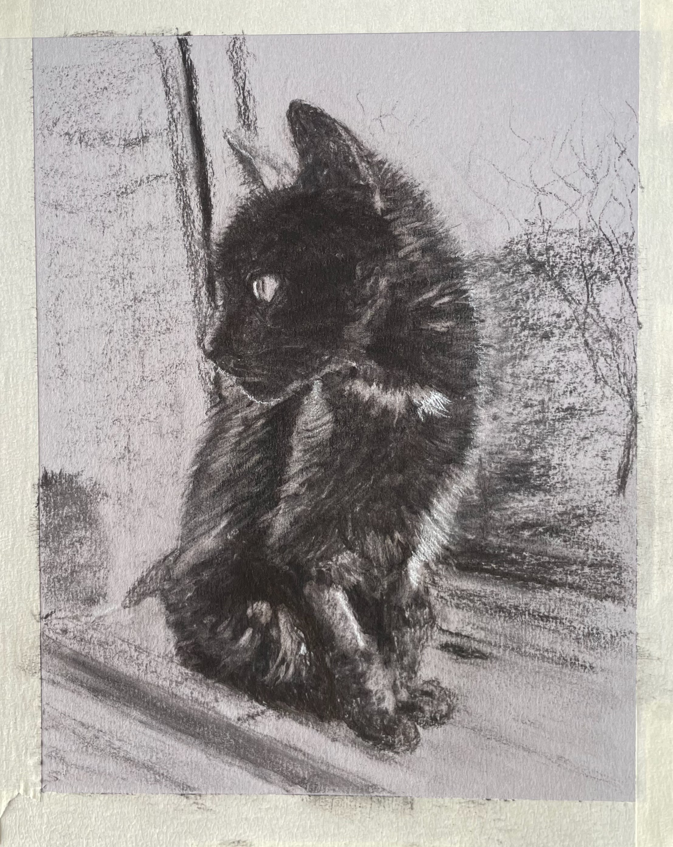 charcoal drawing of a dark cat sitting in a windowsill, facing the viewer and looking off to the side