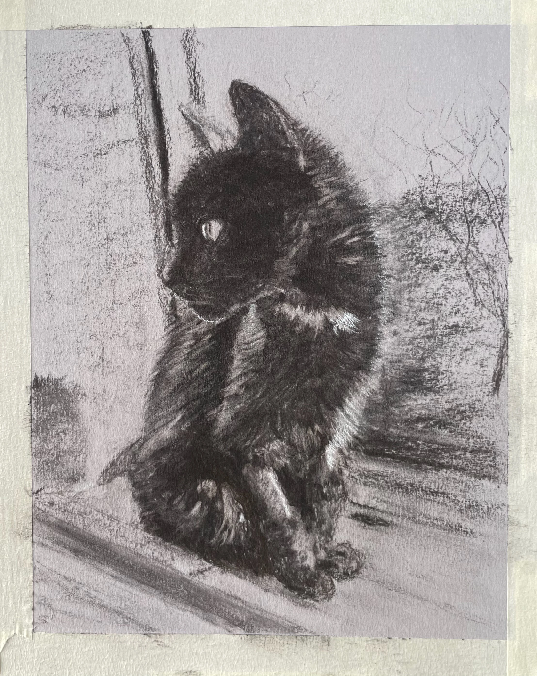 charcoal drawing of a dark cat sitting in a windowsill, facing the viewer and looking off to the side