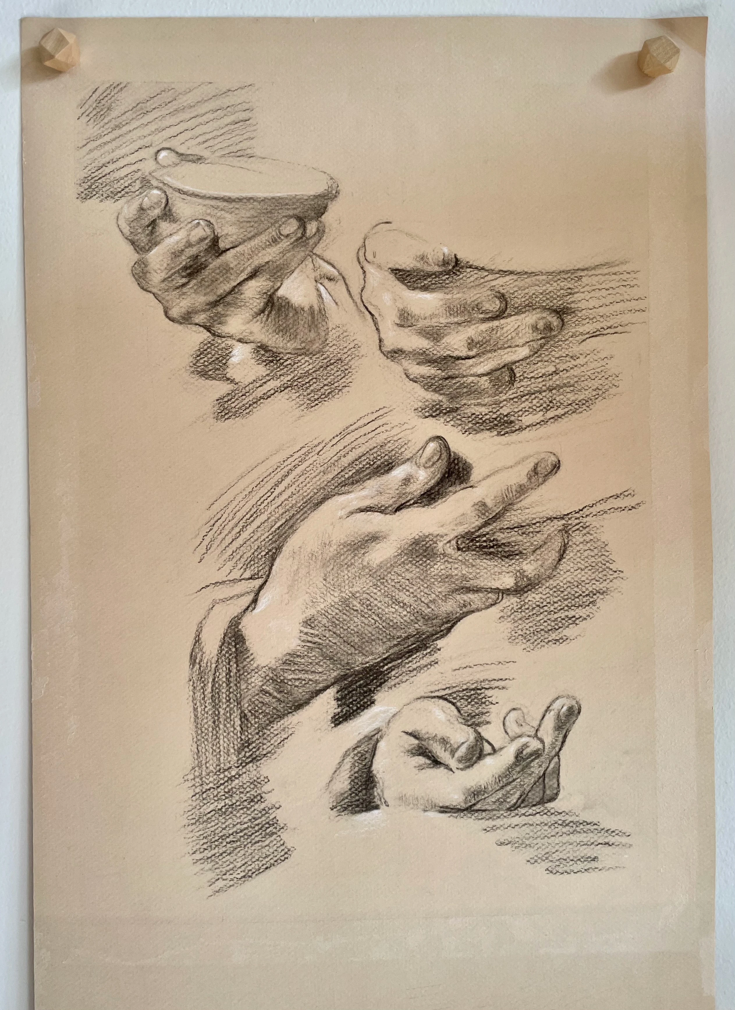 charcoal study of 4 hands in different poses: the top-left hand is holding a small bowl with fingers straight; top right is holding a mug from the side; the largest, middle hand is holding a wider object from the side; the bottom is laying on a surface facing up.