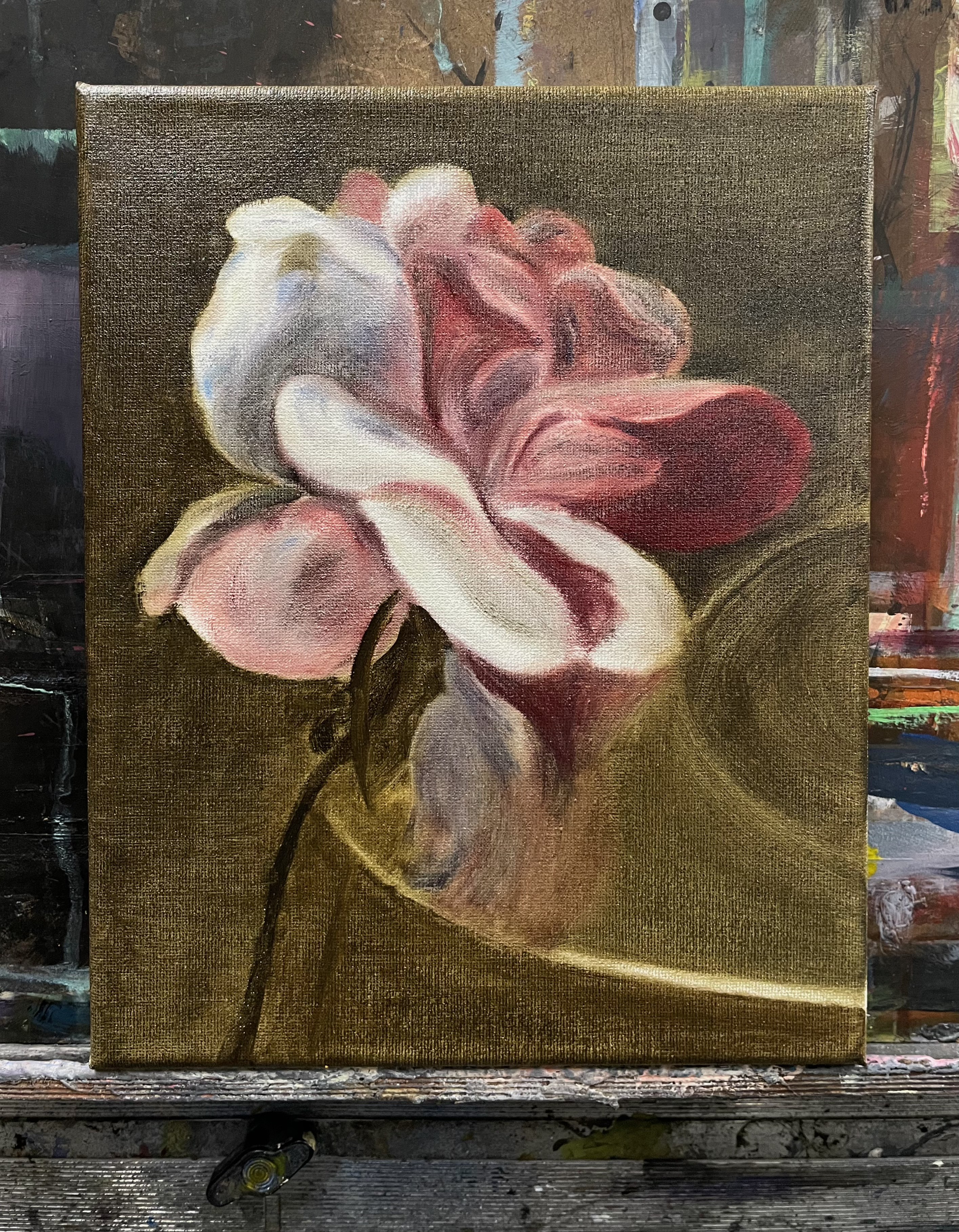 stretched oil painting, sitting on an easel, of a pink and white rose resting on a wide plate with a dark olive backdrop