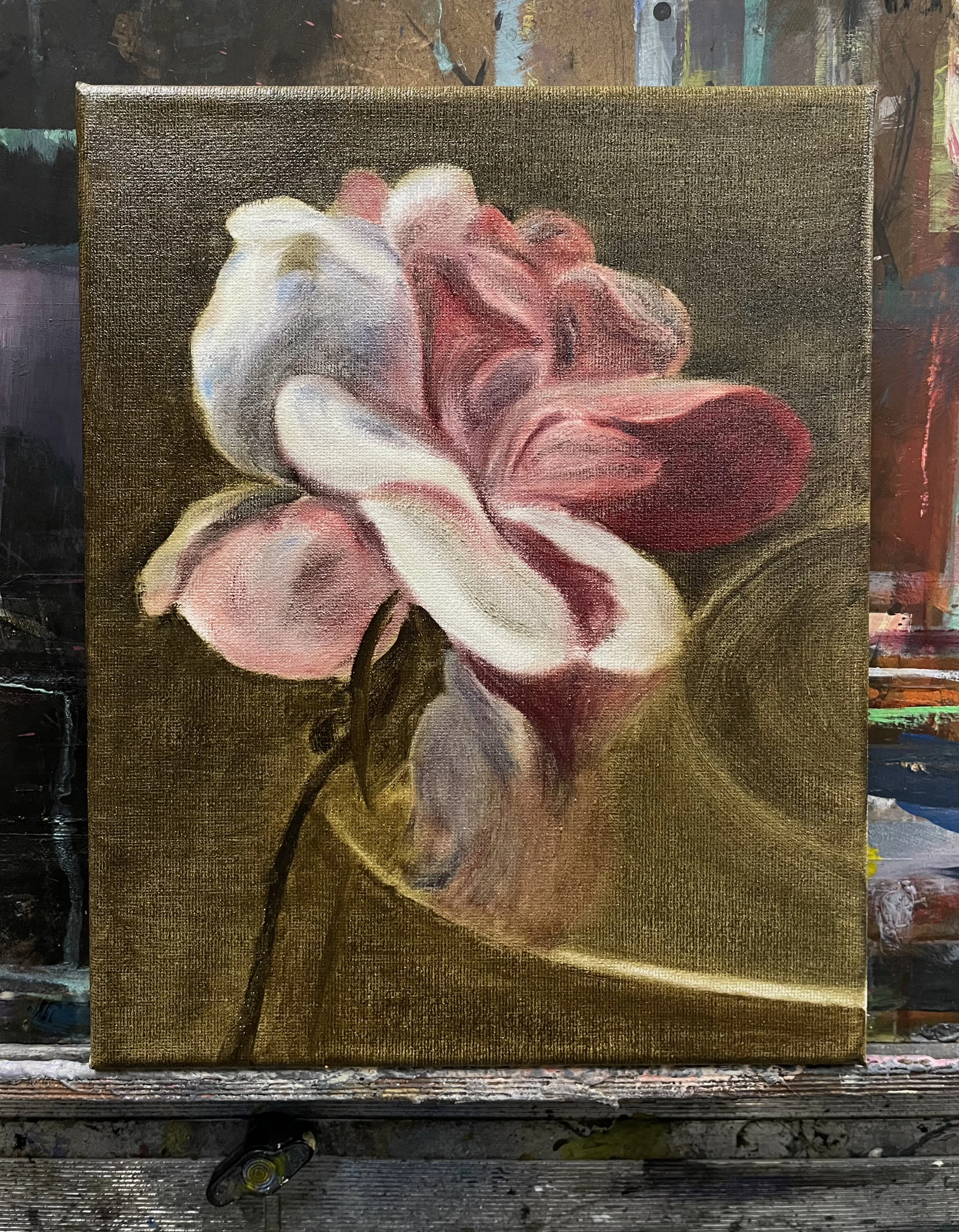 stretched oil painting, sitting on an easel, of a pink and white rose resting on a wide plate with a dark olive backdrop